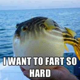 Soothing IBS Pain & Symptoms